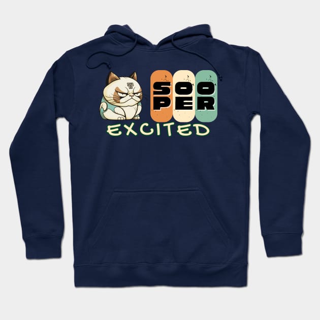 Sooper Excited Hoodie by DaShirtXpert